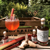 Rhubarb and Ginger Gin Liqueur