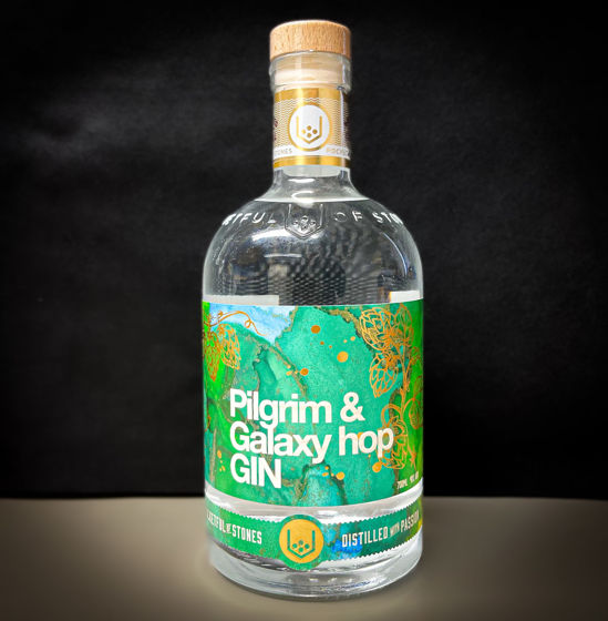 Picture of Pilgrim & Galaxy Gin